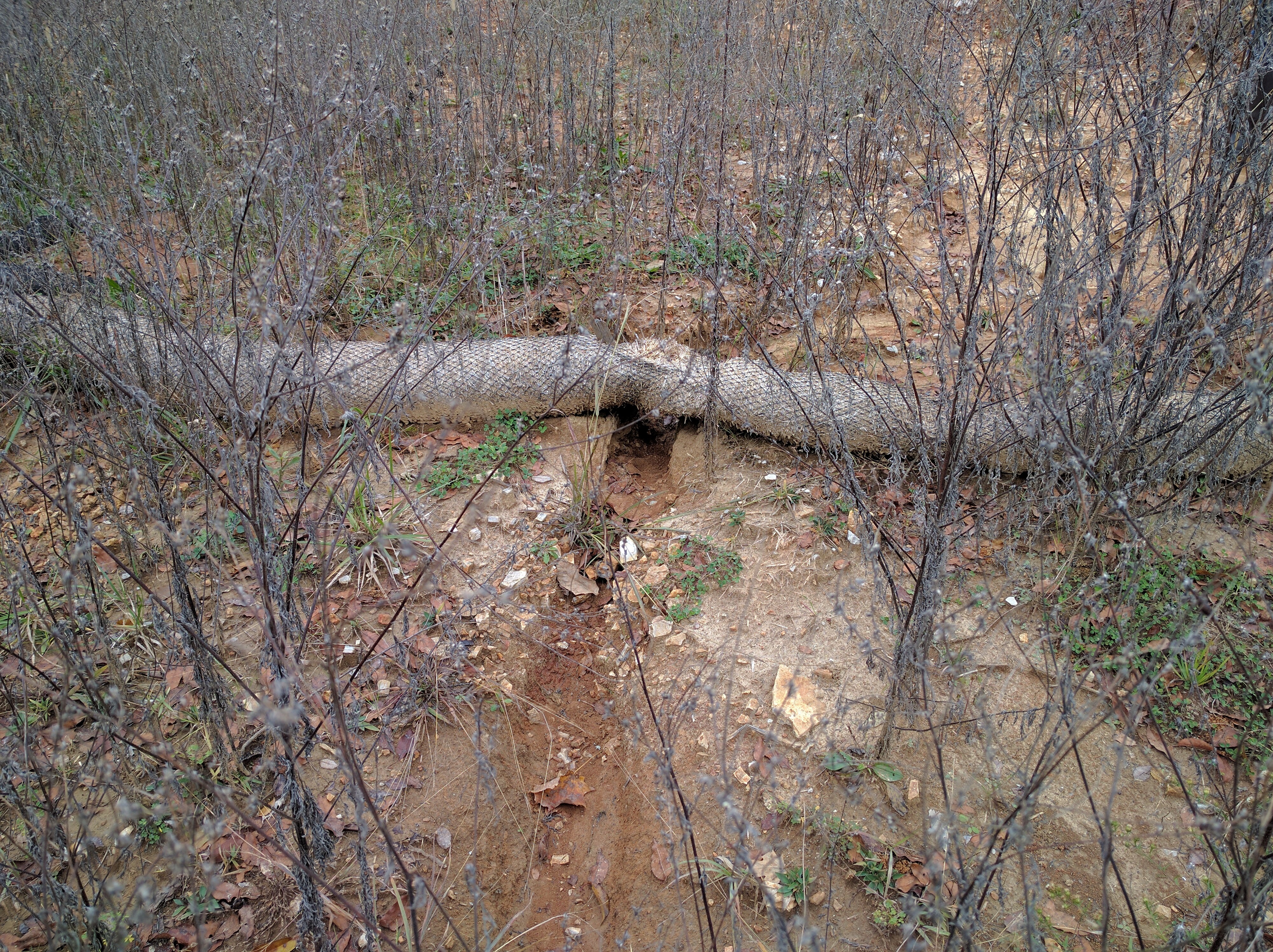 Berm in need of Maintenance