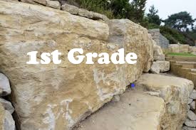 Education Limestone